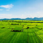 MIDC Plot Allotment Procedure in Maharashtra: Complete Step-by-Step Guide