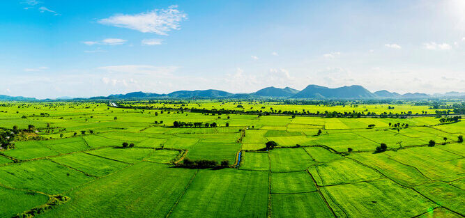 MIDC Plot Allotment Procedure